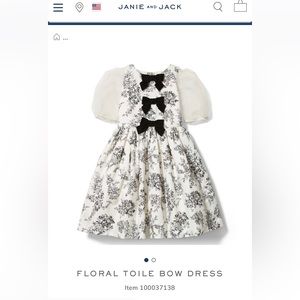 Janie and Jack floral toile bow dress